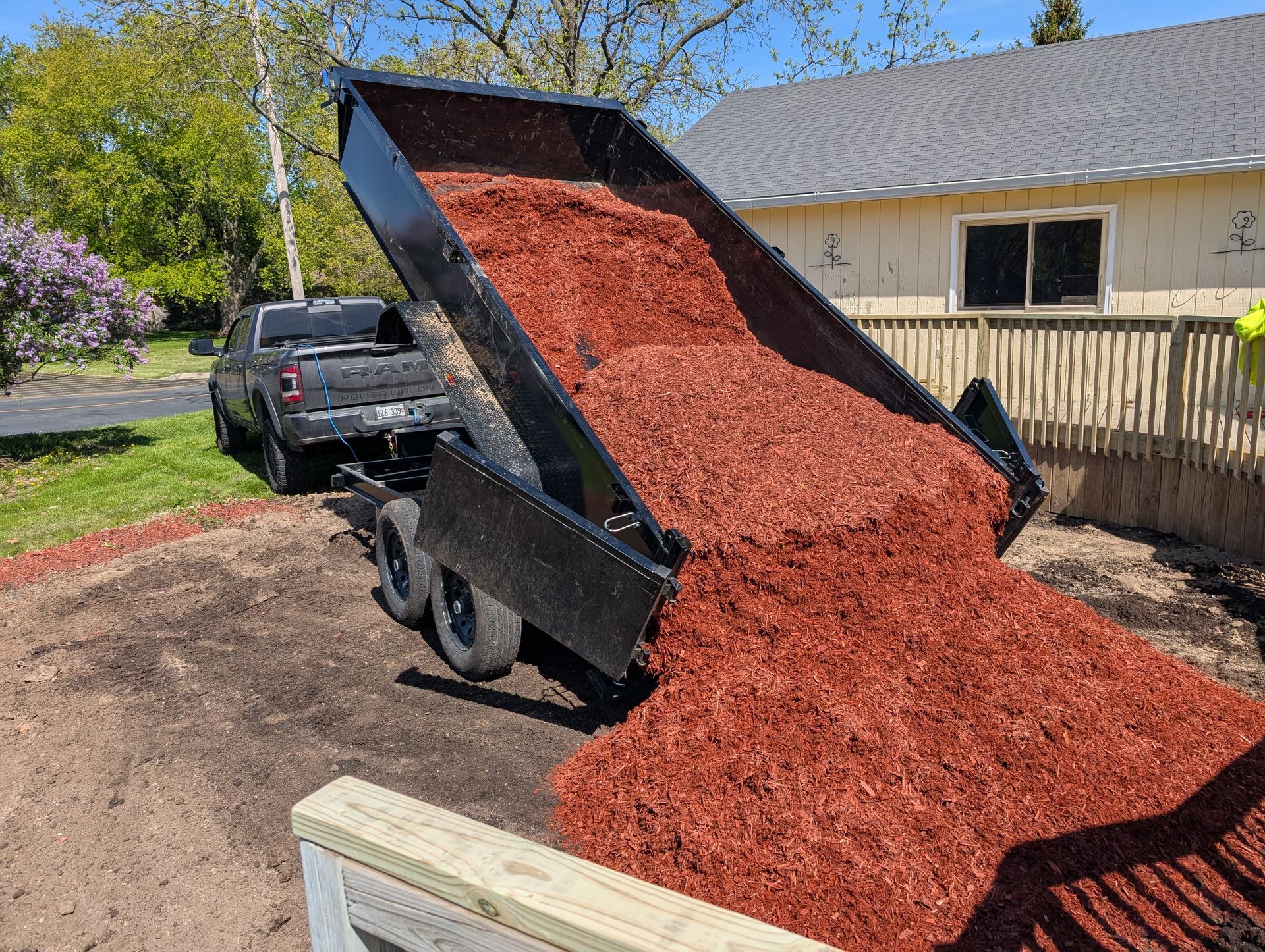 A dark truck with a dump trailer is unloading a large pile of bright red mulch onto a residential yard.