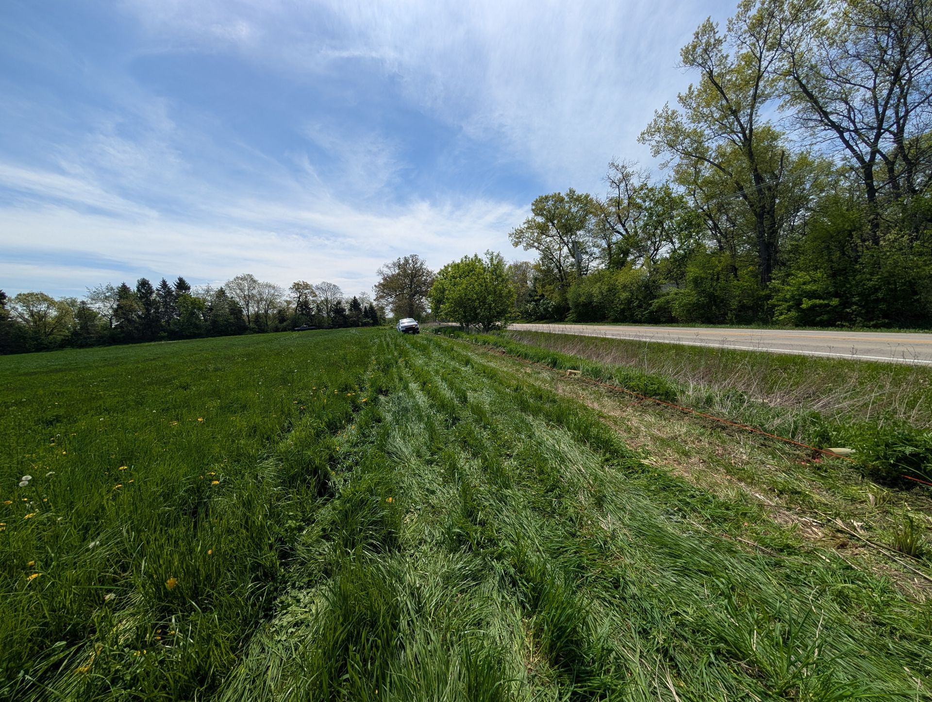 A mowed path cuts through a green field next to a gravel road, with a line of trees against a blue sky in the distance.