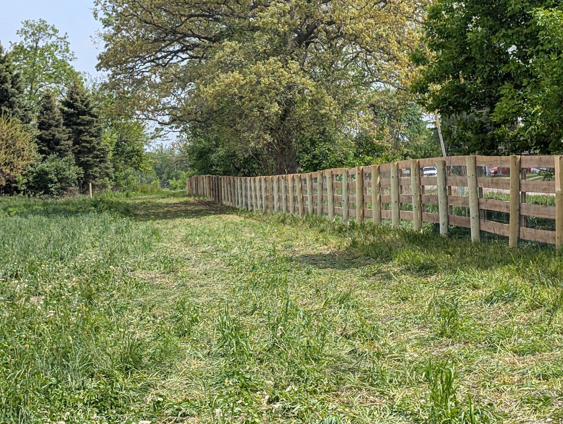 A wooden split-rail fence runs alongside a grassy field bordered by trees under a clear blue sky.