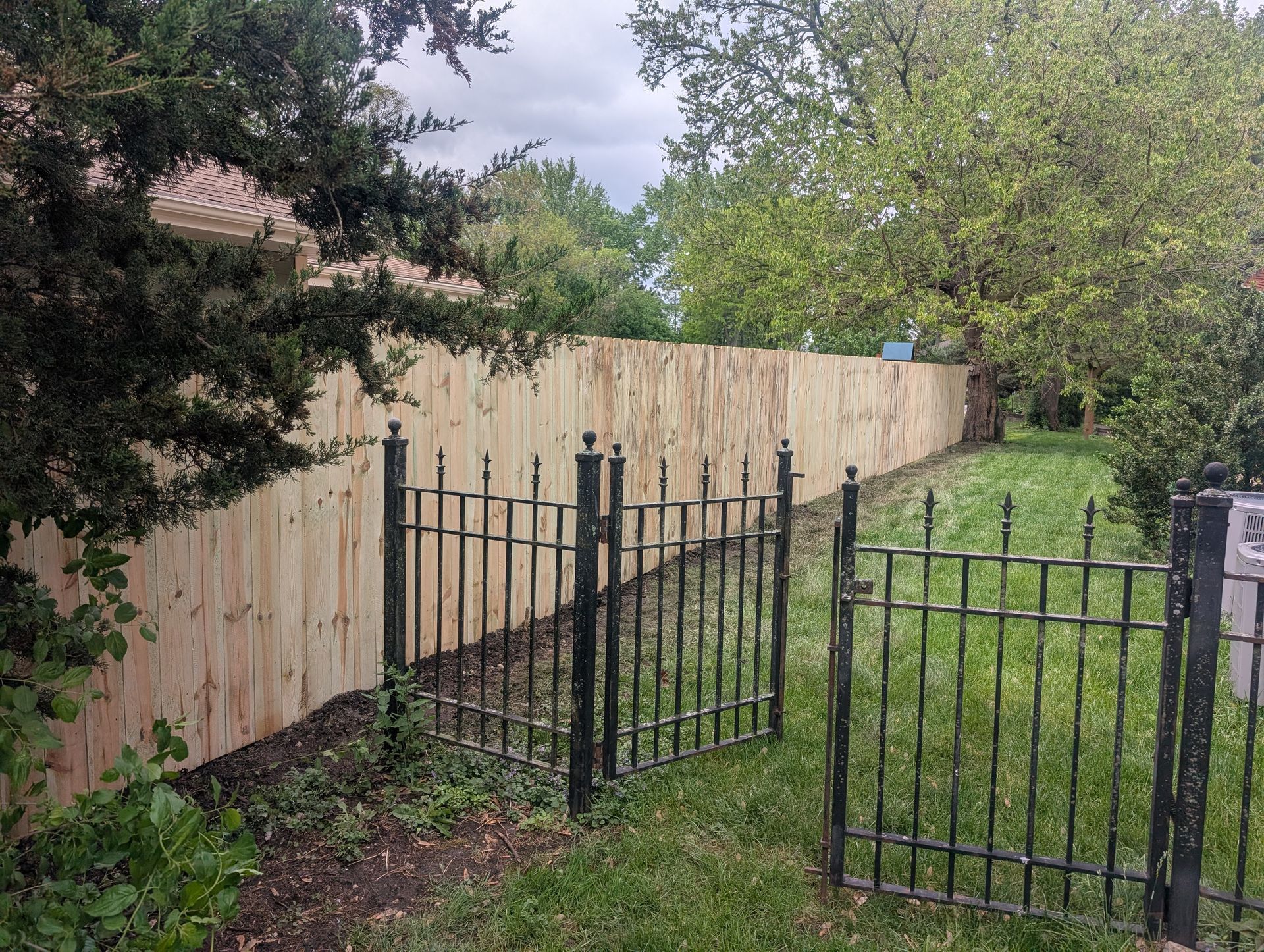 A new wooden privacy fence stands behind an old, black wrought-iron gate in a grassy yard with trees.