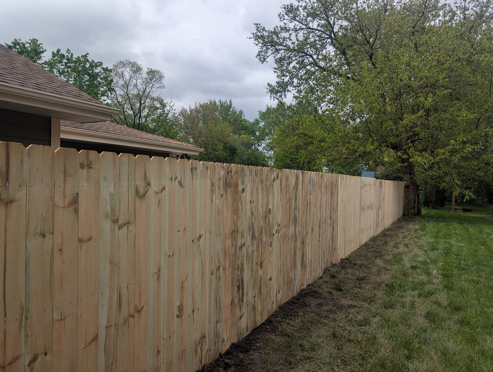A long, new wooden picket fence stretches across a backyard lawn, with a house roof and trees in the background.