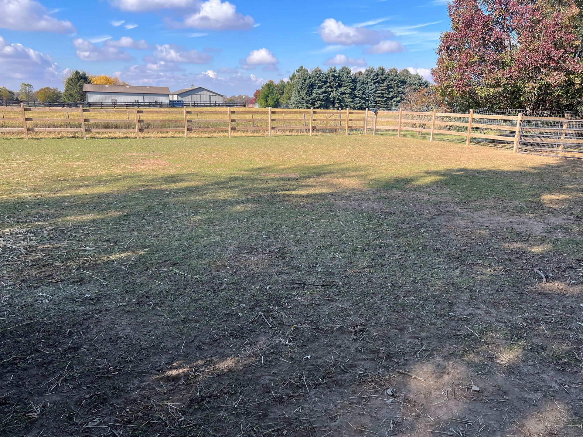 A grassy, dirt-filled paddock enclosed by a wooden fence under a blue, cloudy sky with trees and farm buildings beyond.