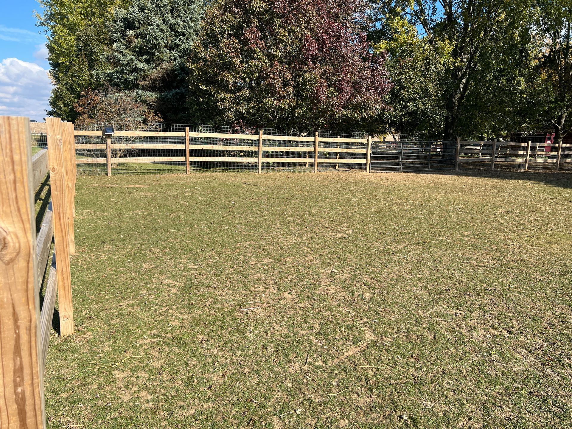 A fenced grassy enclosure with a wooden post-and-rail fence, surrounded by green and autumn-colored trees under a blue sky.