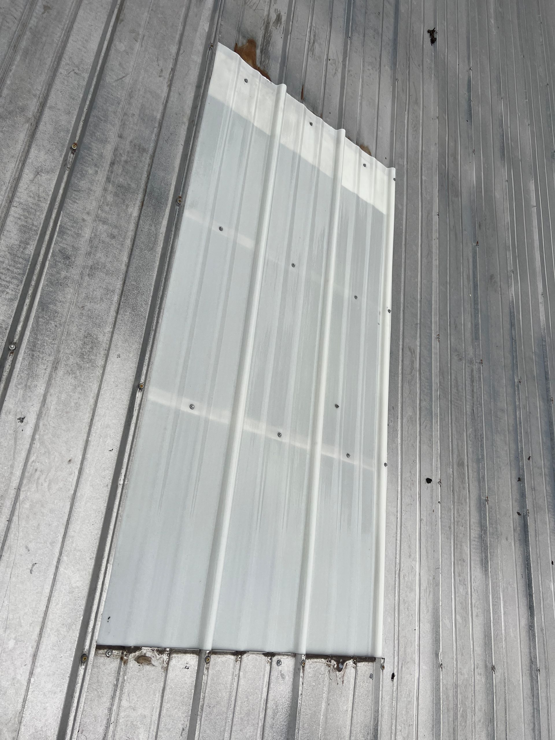 A clear, corrugated plastic skylight panel installed within a weathered metal roof.