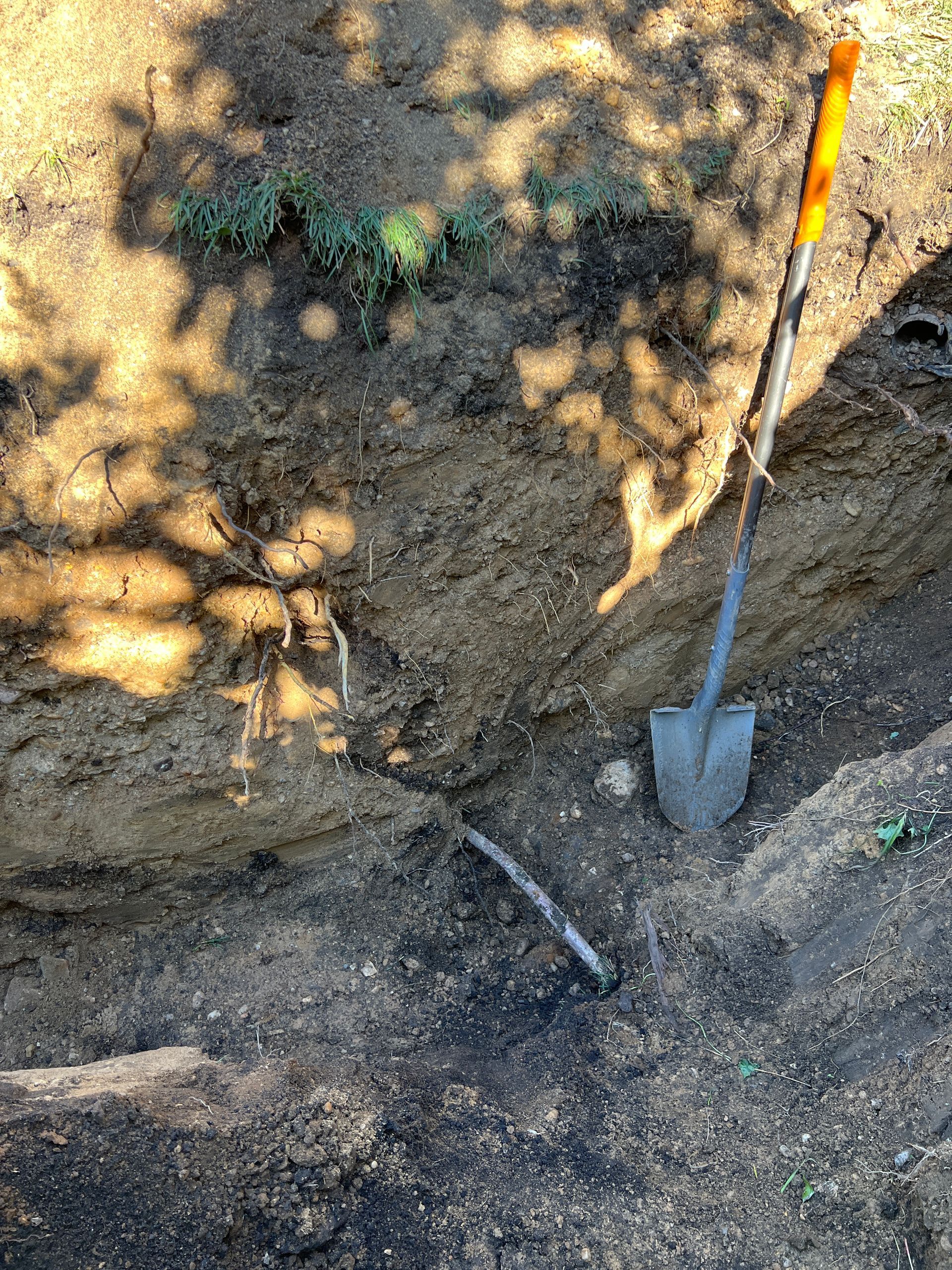 A shovel stands upright in a narrow, freshly dug trench in soil, next to an exposed underground utility pipe.