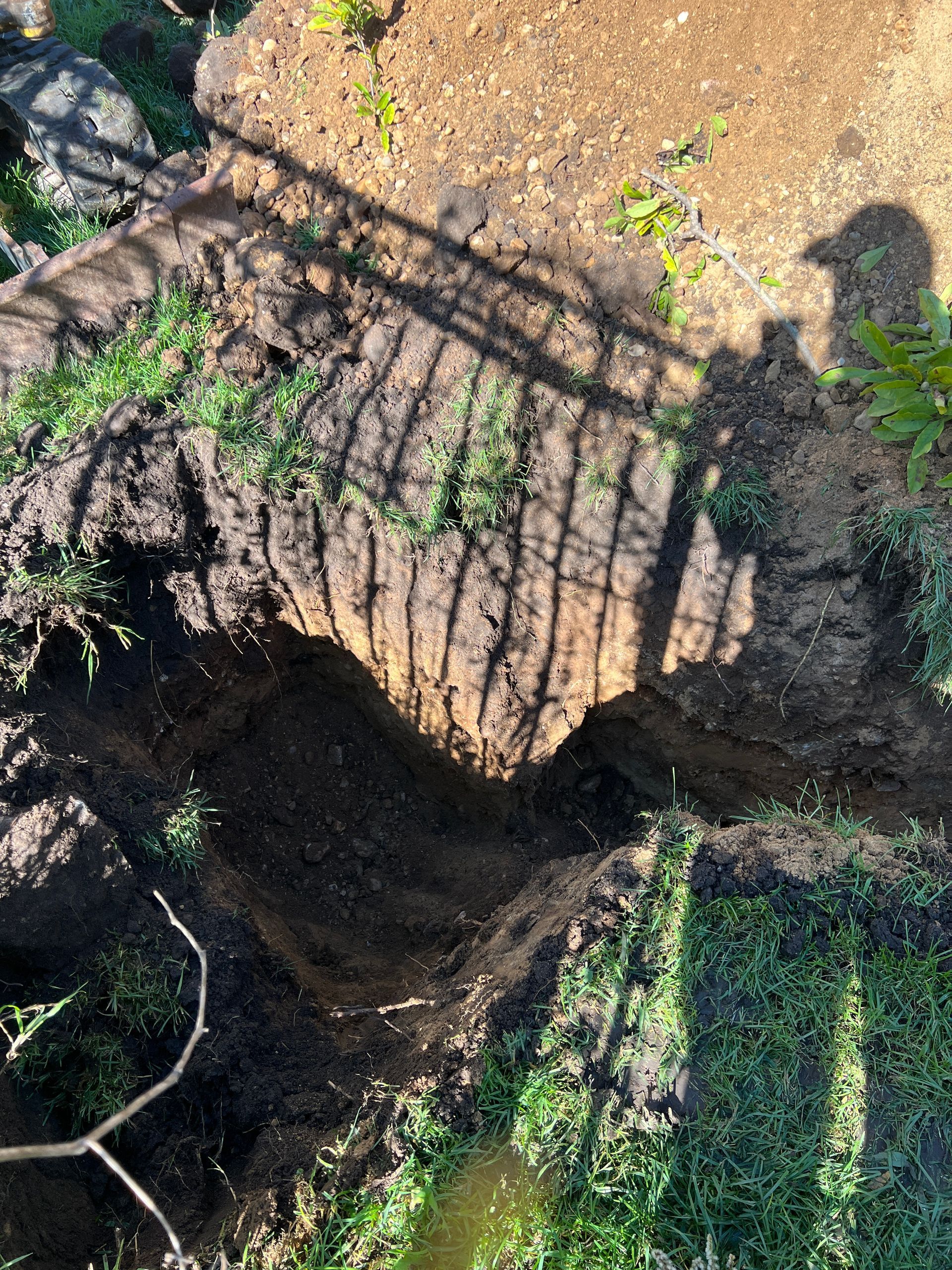 A deep, irregular hole dug into the ground, bordered by green vegetation and cast with shadows from a nearby fence.