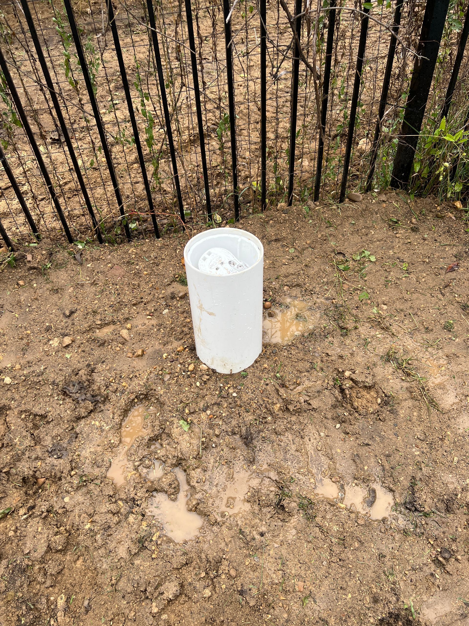 A white PVC pipe sticking out of muddy ground in front of a black metal fence.