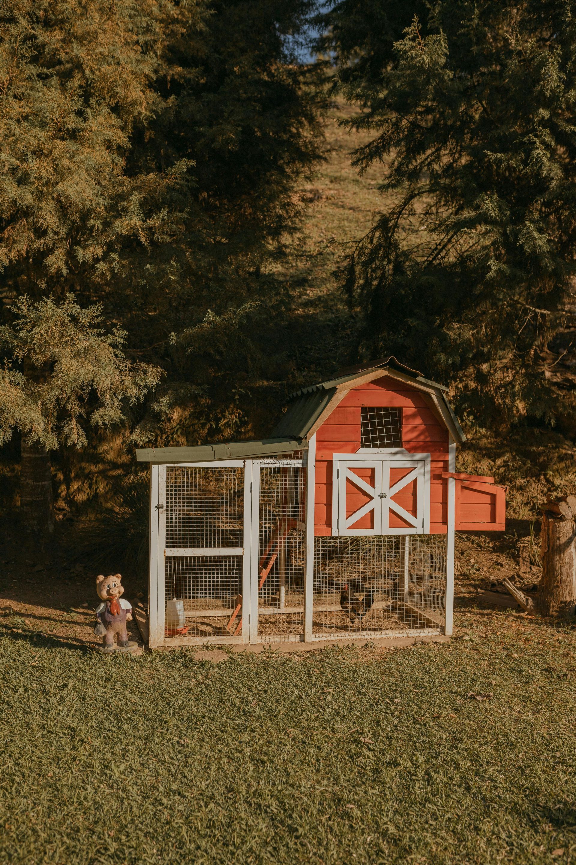 A red barn-style chicken coop sits in a grassy yard, with a small child standing nearby against a backdrop of trees.