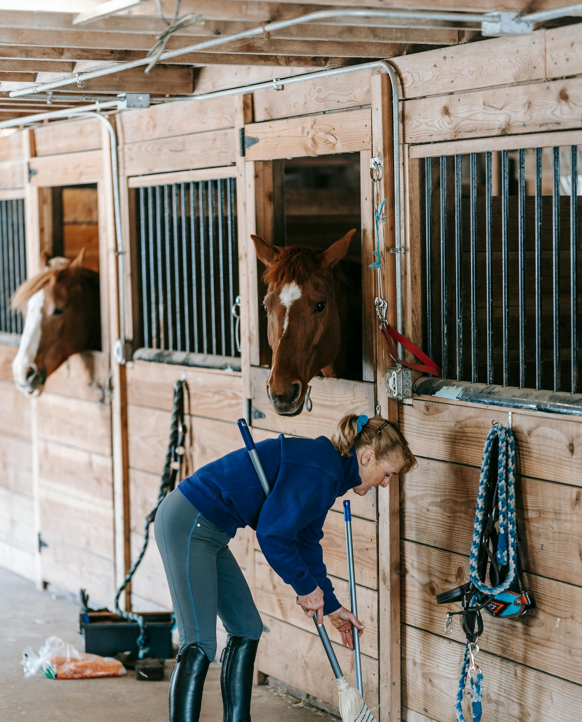 A person in a blue sweater and riding boots sweeps the aisle of a stable while two horses watch from their stalls.