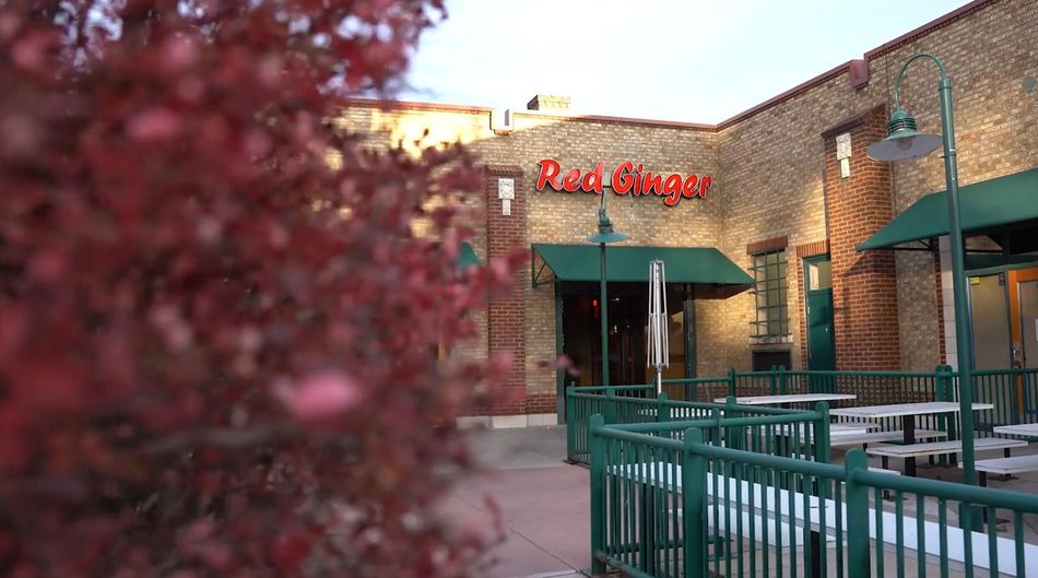Outdoor patio at a Red Mango storefront with green railings, tables, and a pink flowering tree in the foreground