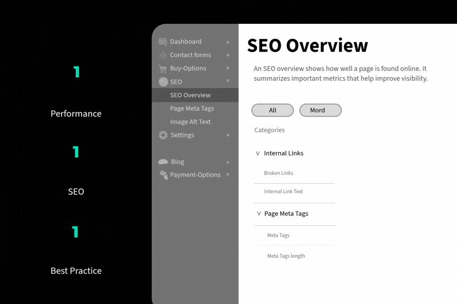 SEO dashboard mockup with black sidebar, gray navigation panel, and white main content area showing website audit details