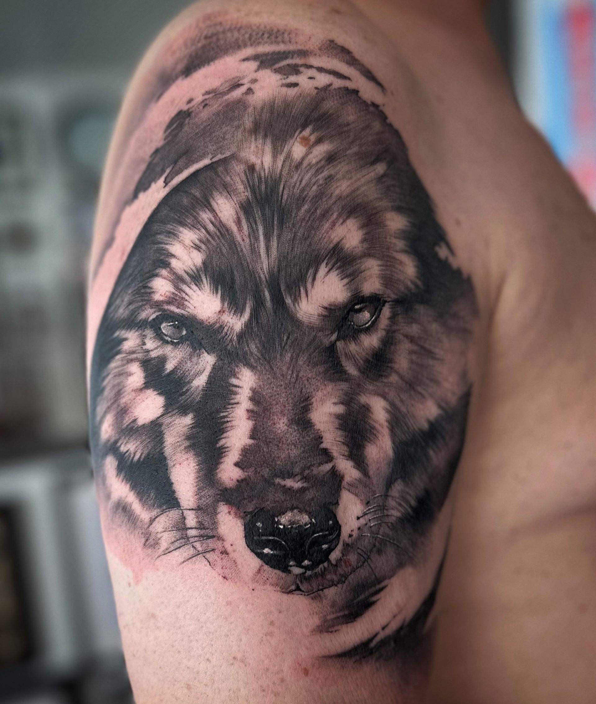 Ein Mann hat ein Wolfstattoo auf seiner Schulter