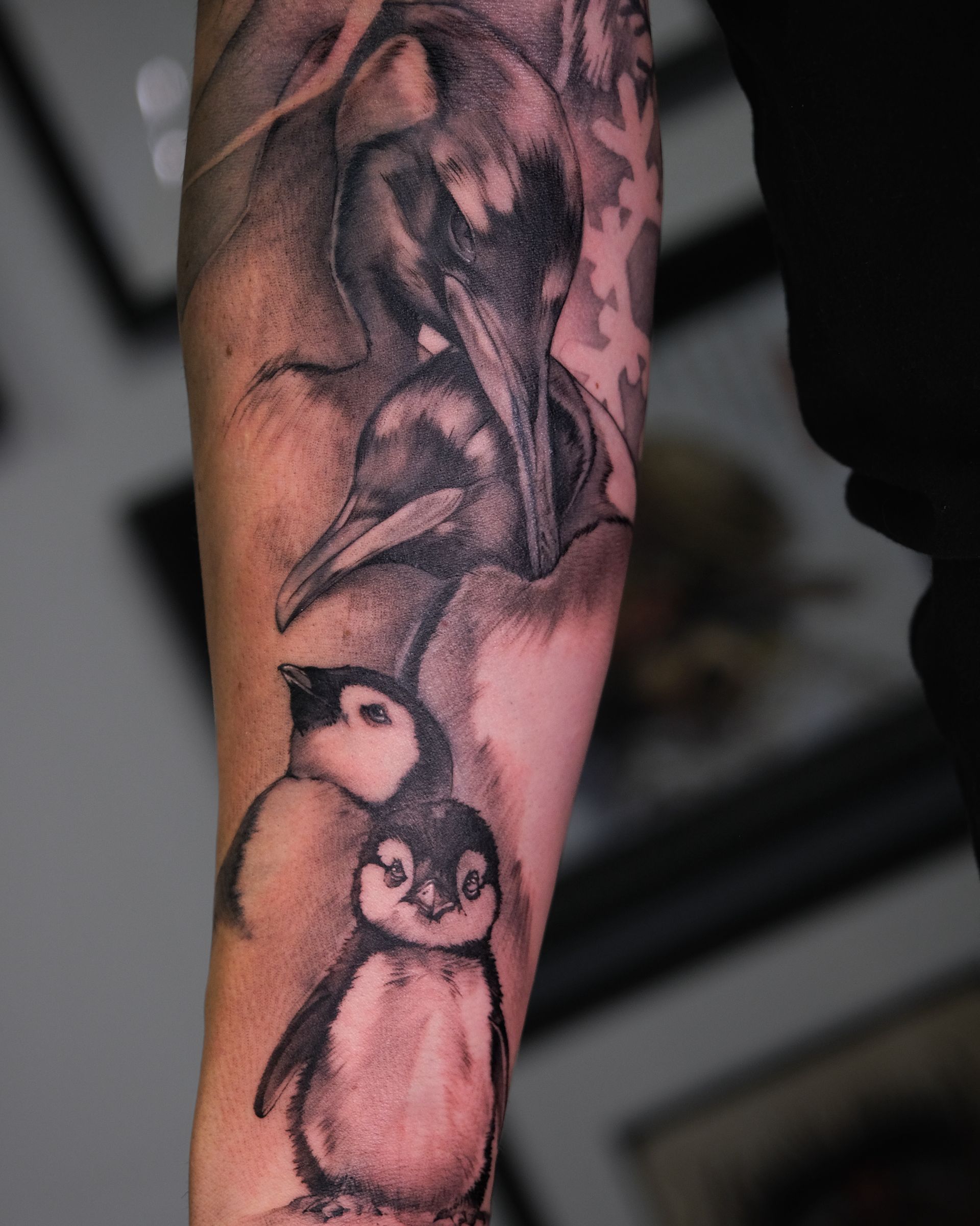Ein Tattoo von zwei Pinguinen und einem Vogel auf dem Arm einer Person