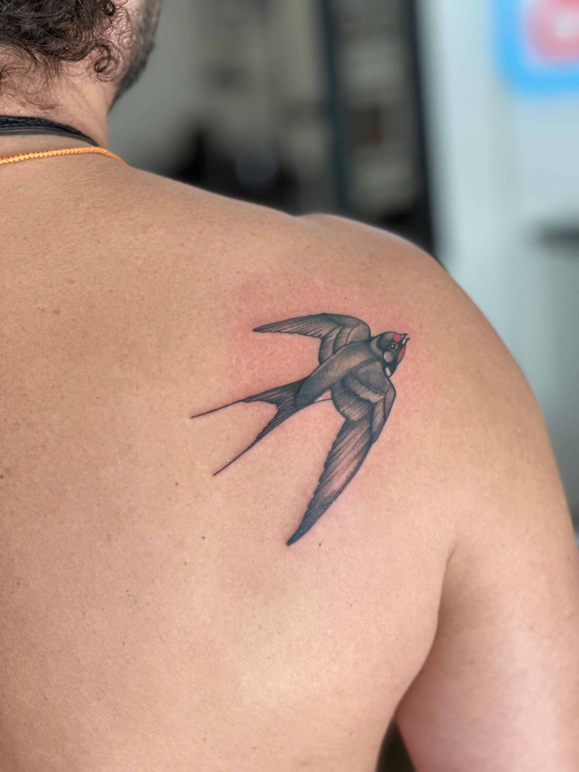 Ein Mann hat ein Vogeltattoo auf seinem Rücken
