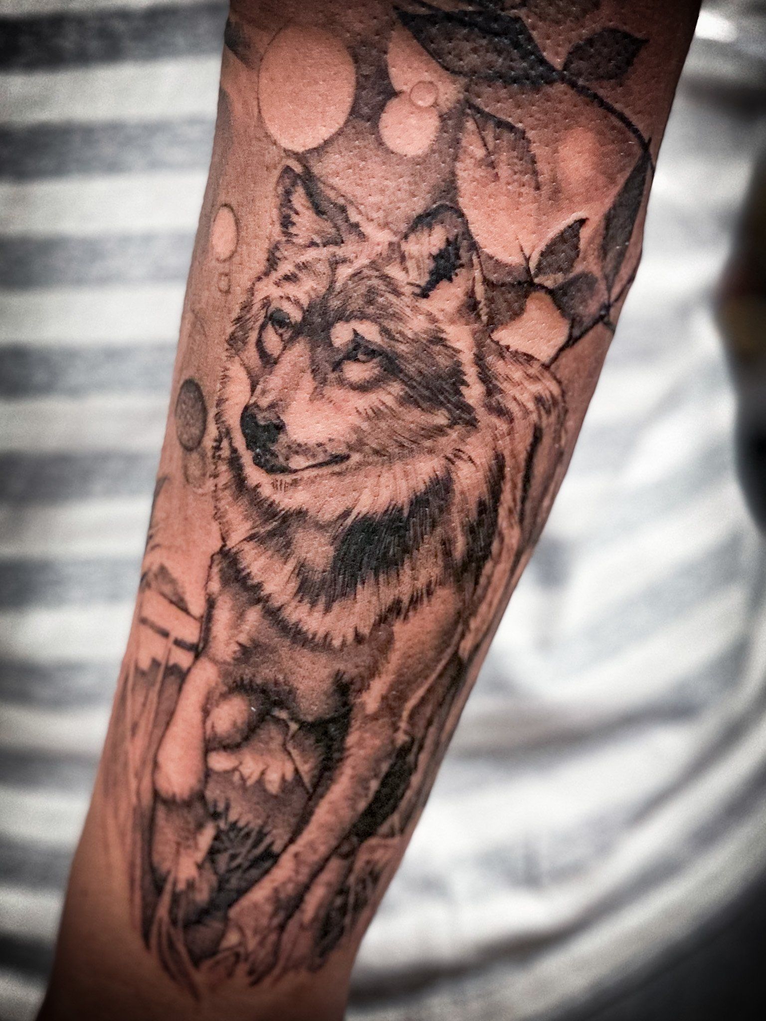 Eine Person hat eine Wolfstätowierung auf dem Unterarm.