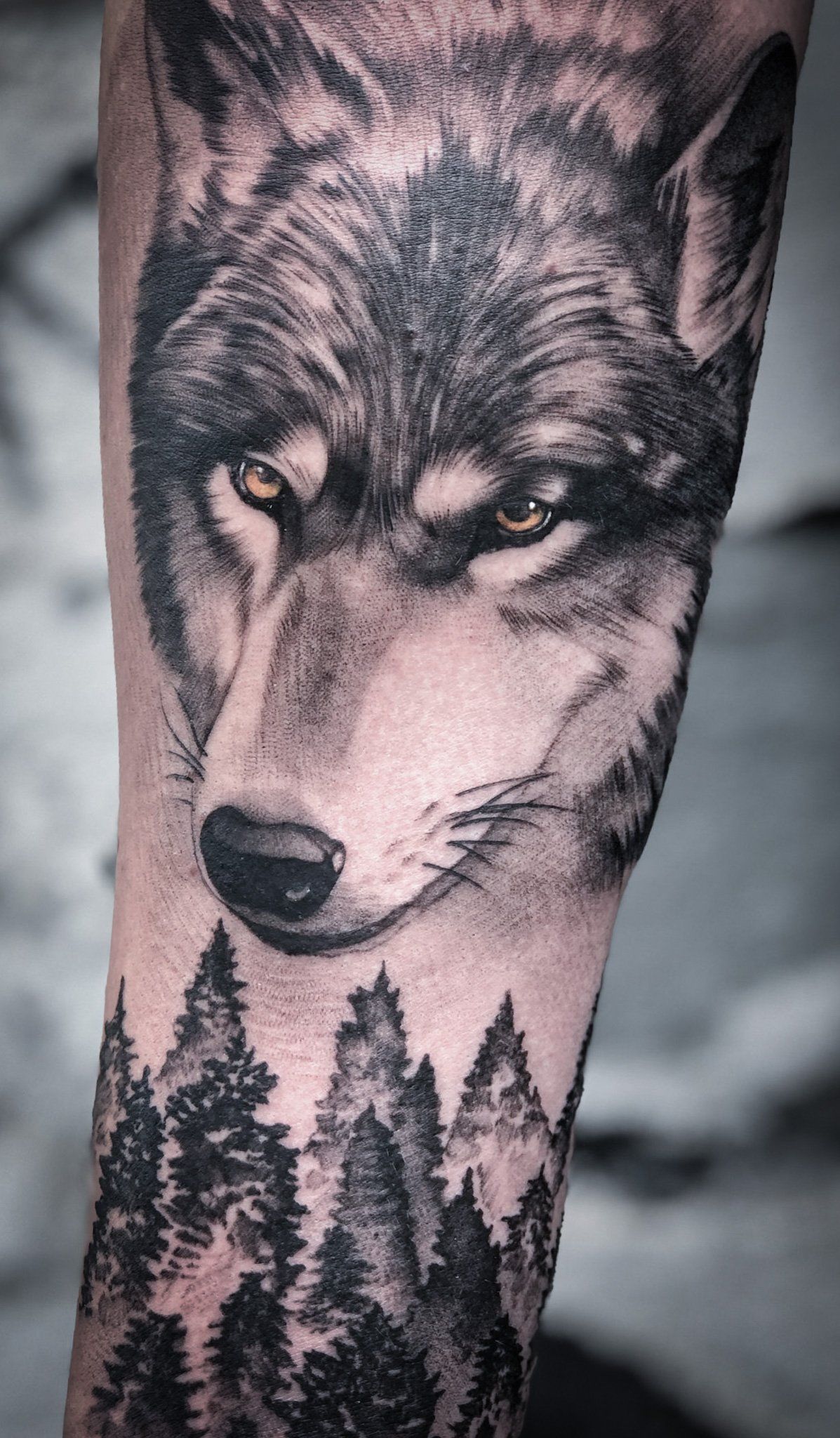 Eine Nahaufnahme einer Tätowierung mit einem Wolf und Bäumen auf dem Arm einer Person.