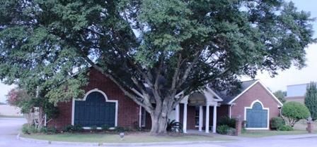 A couple of houses with a tree in front of them.