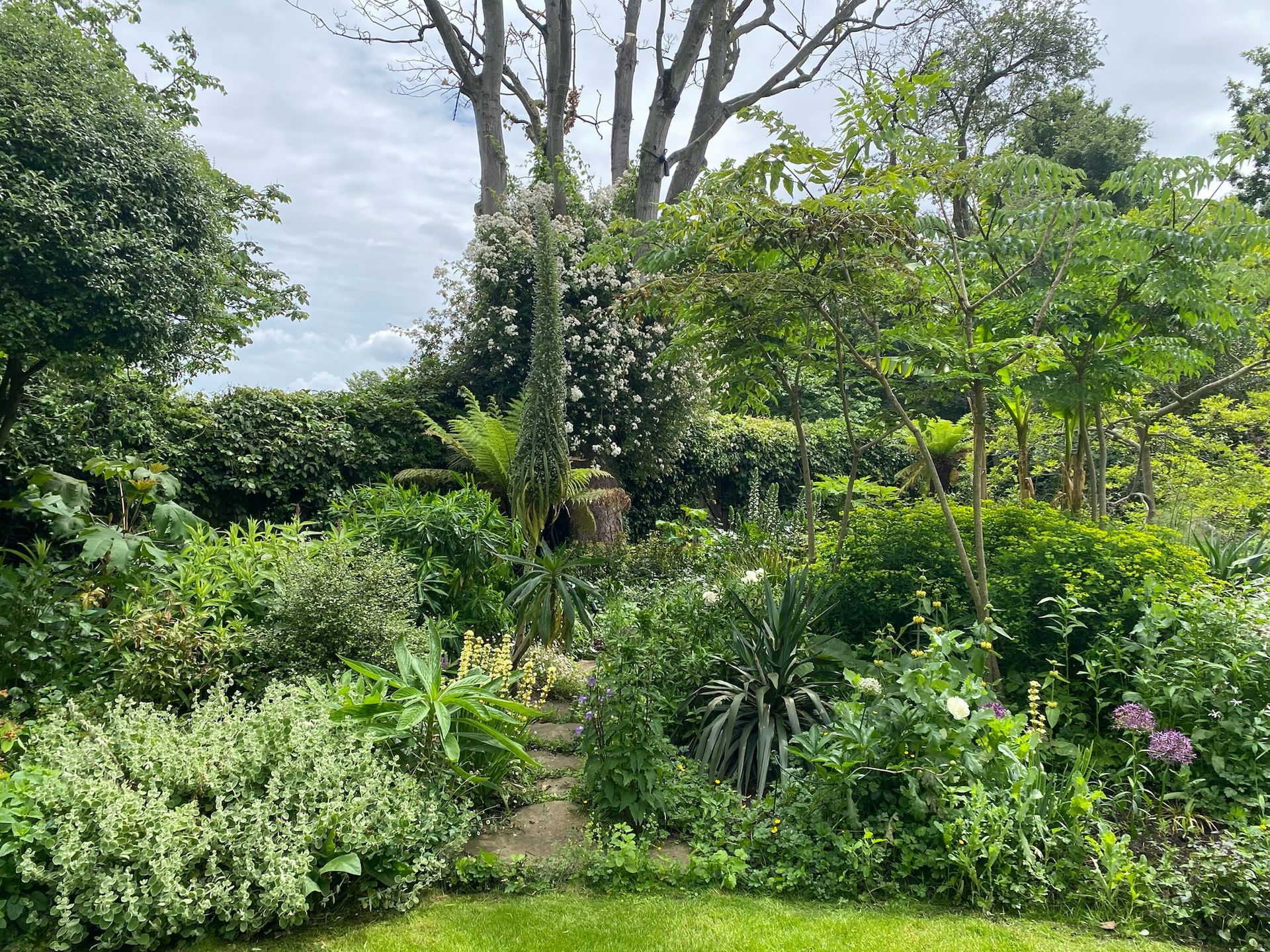 Lush green garden with diverse plants, a pathway, and trees under a cloudy sky.