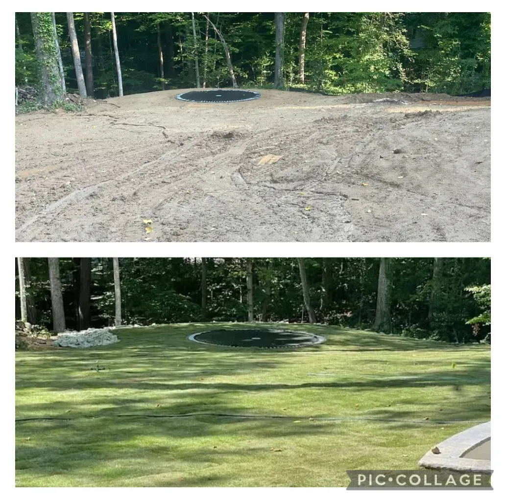Before and after of a leveled backyard: bare dirt above, green grass below, with trees in back.