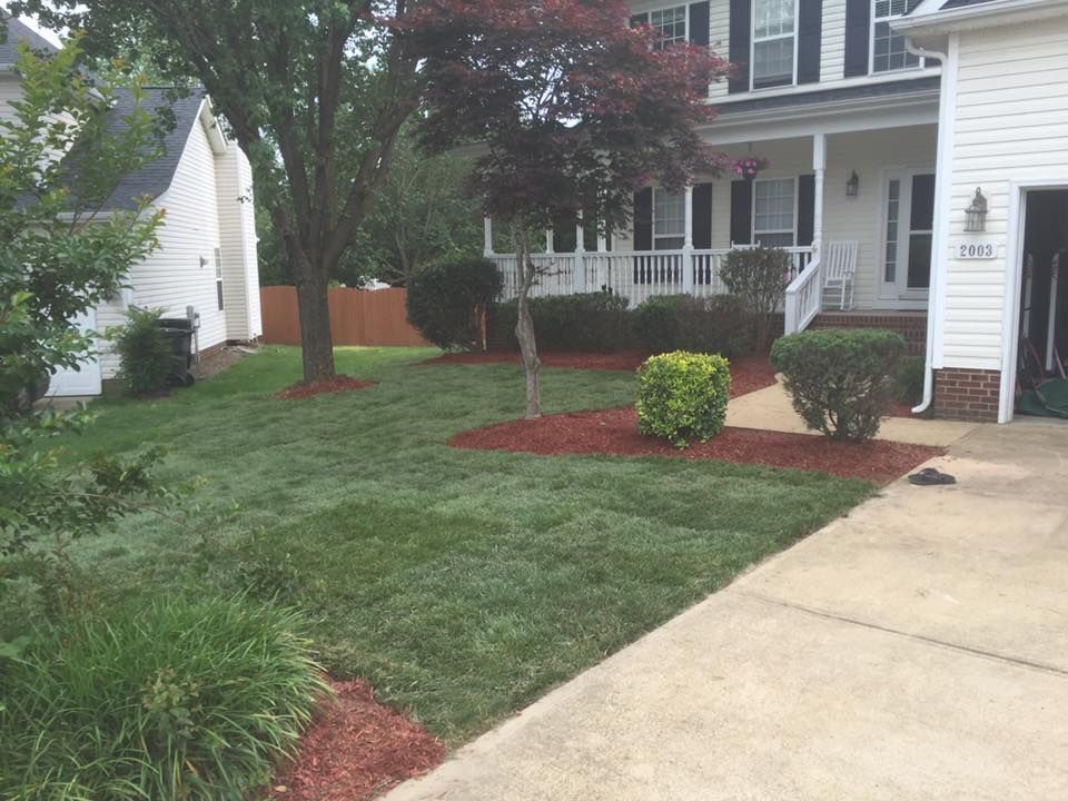 Front yard with green sod lawn, trees, shrubs, and a concrete driveway beside a white house.