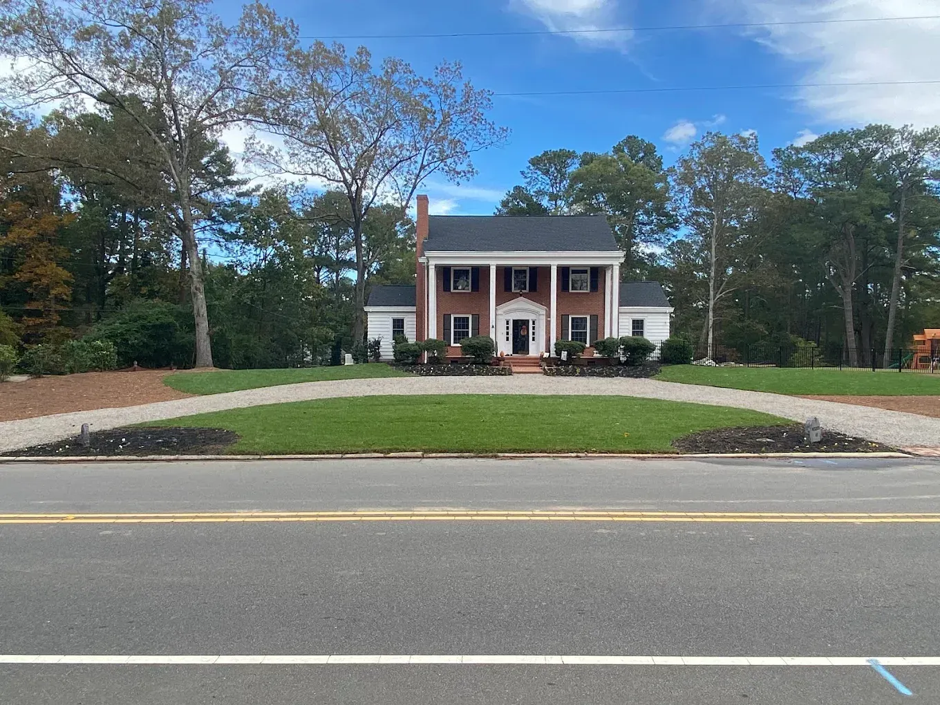 Lush green garden with trees, shrubs, and a paved path in soft daylight