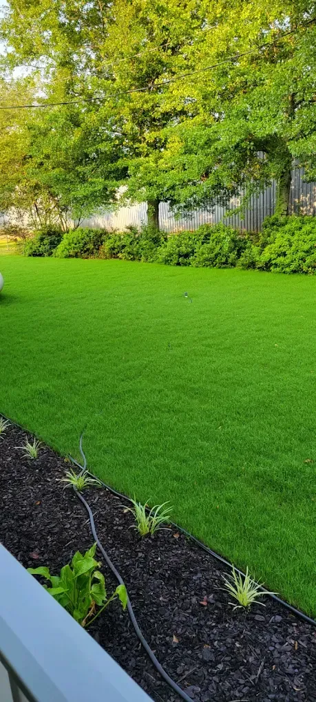 Green lawn beside a mulched flower bed and leafy trees in a landscaped yard