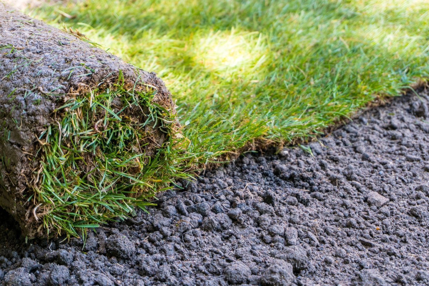 Recently mowed lawn beside a dirt driveway in front of a brick house with a porch