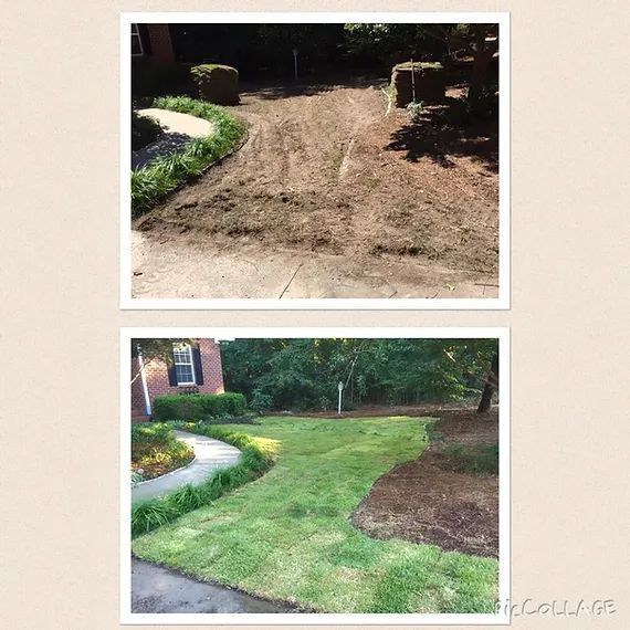 Before-and-after yard view: muddy dirt path transformed into a green, landscaped lawn.