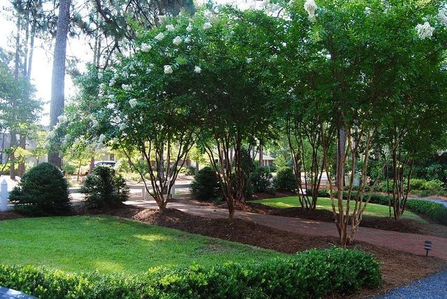 Lush landscaped garden with green lawn, trees, shrubs, and a gravel path in soft daylight in Fuquay-Varina, NC.