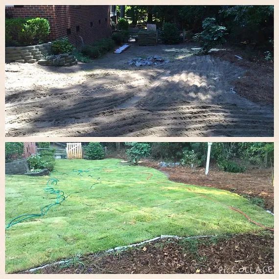 Before-and-after yard makeover: bare dirt transformed into a green, freshly sodded lawn.