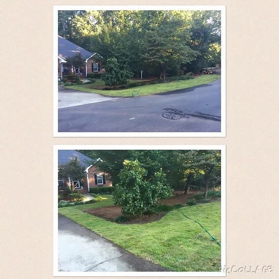 Before-and-after suburban street view: overgrown trees and lawn trimmed around driveway and curb.