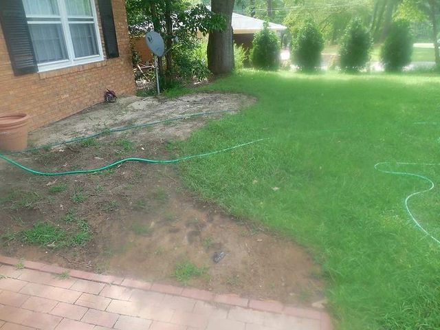 Backyard with green lawn, brick house wall, patio stones, and a garden hose near a tree.