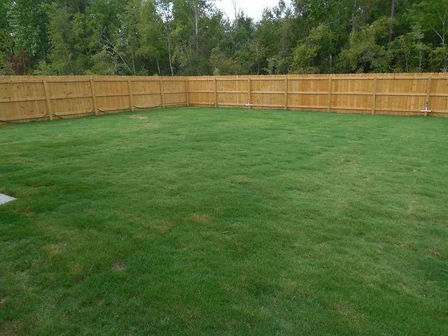 Backyard lawn enclosed by a tan wooden fence with trees in the background
