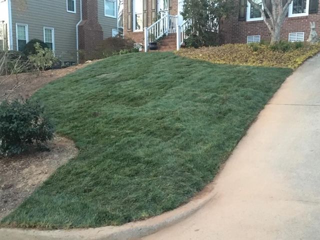 Grassy hillside beside a curved sidewalk in front of townhouses in Pinehurst, NC