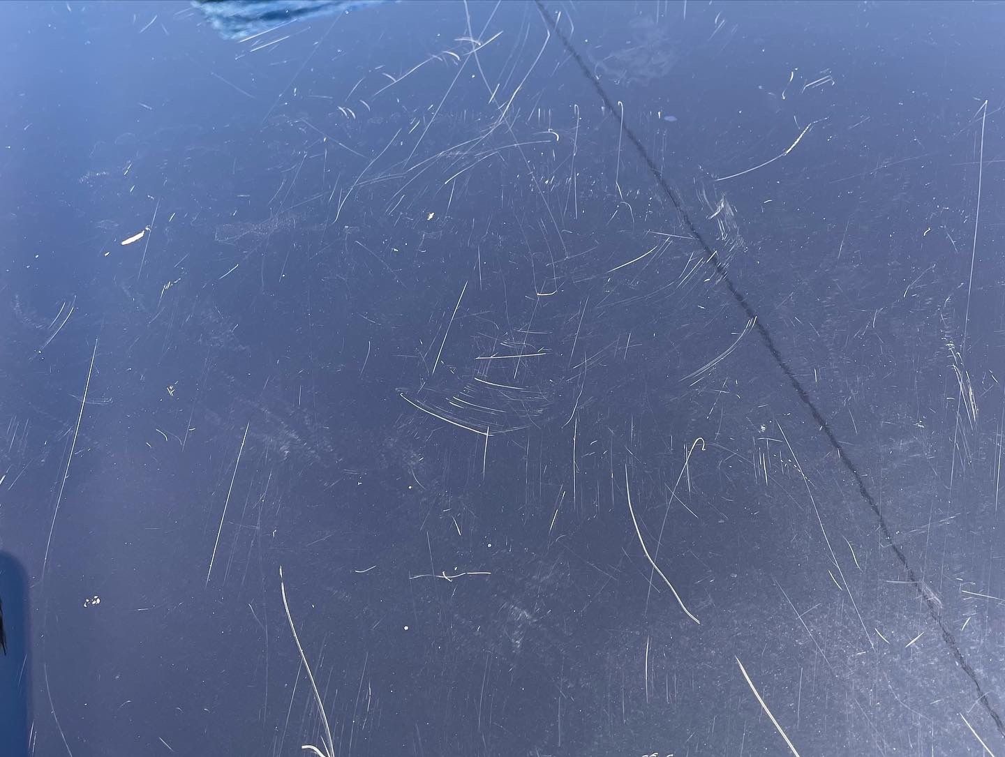 Before Subaru Forestor Paint Correction