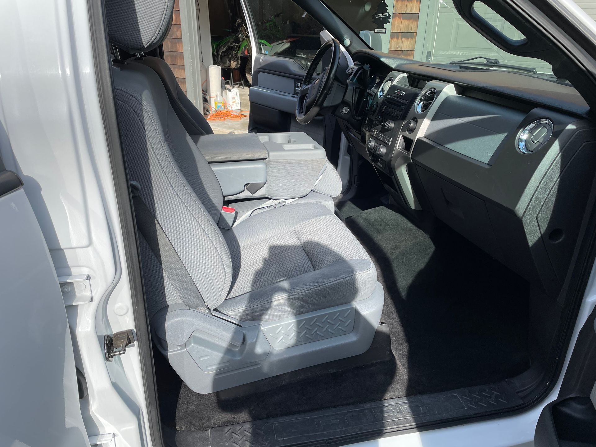 Ford F 150 Mold Removal