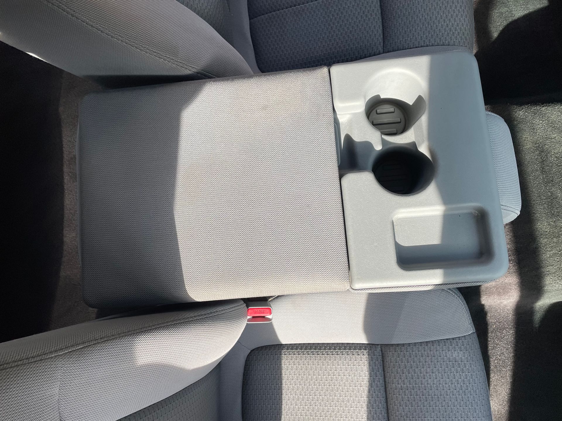 Ford F 150 Mold Removal