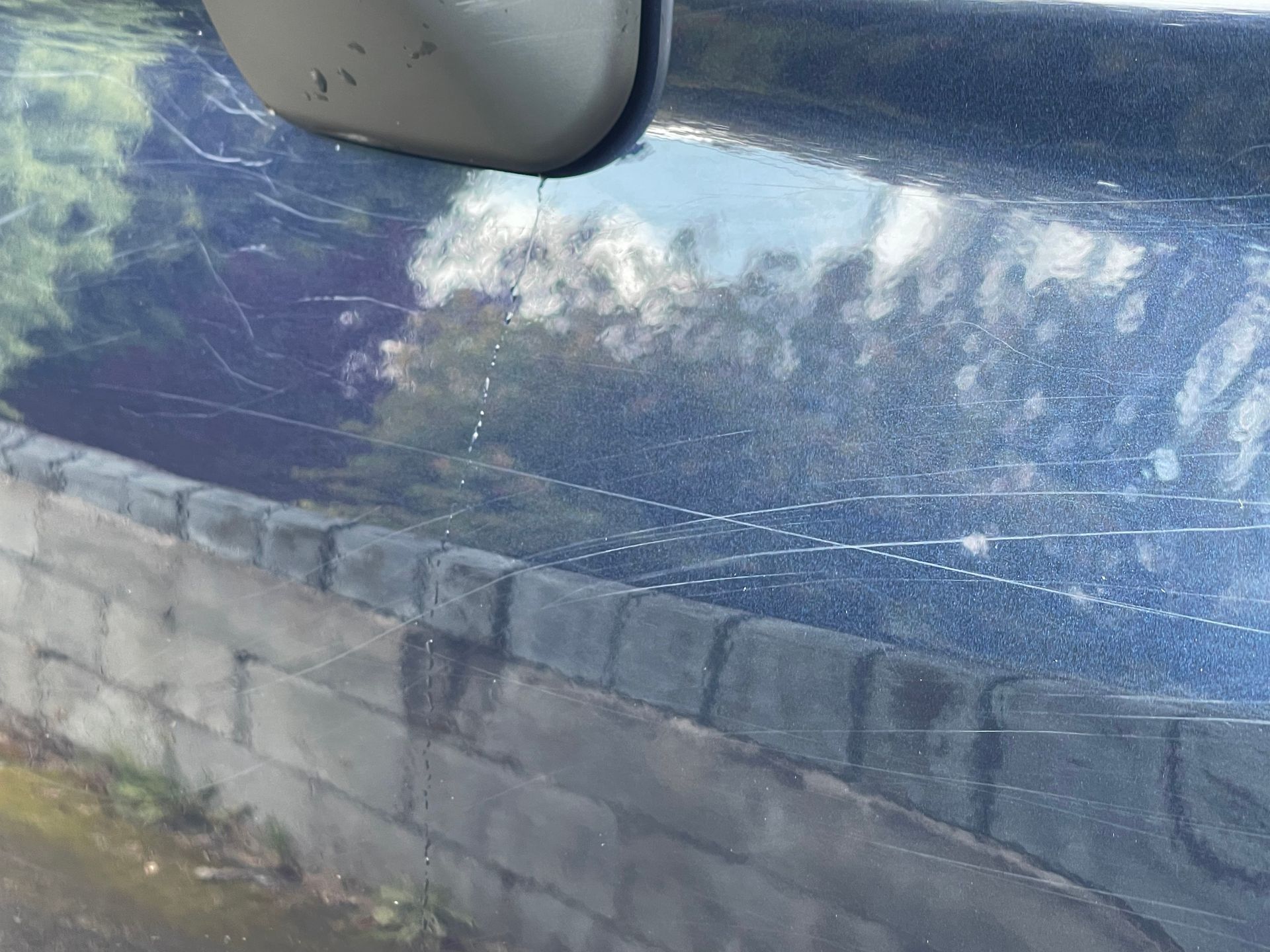 Before Subaru Forestor Paint Correction