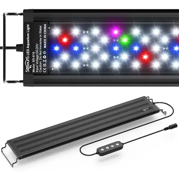 BEST LIGHTING FOR MACROALGAE