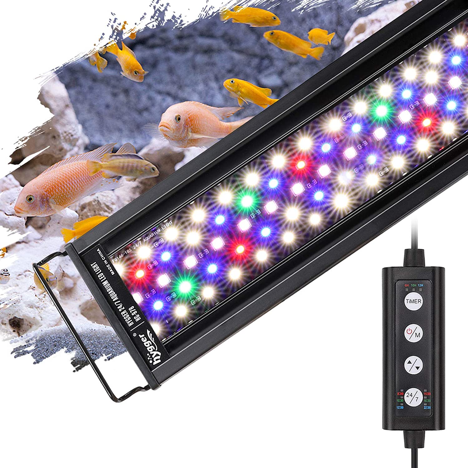 BEST LIGHTING FOR MACROALGAE