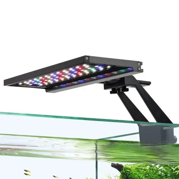 BEST LIGHTING FOR MACROALGAE