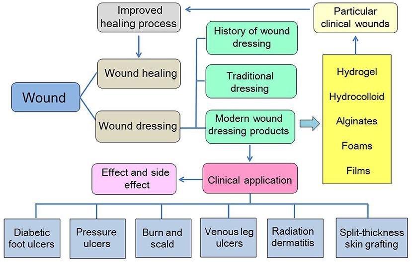 A diagram showing the different types of wounds