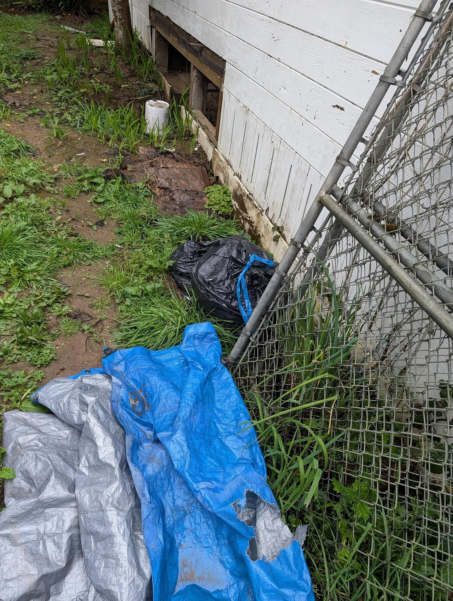 Backyard beside house with blue tarp, trash bags, and a leaning chain-link fence on muddy ground