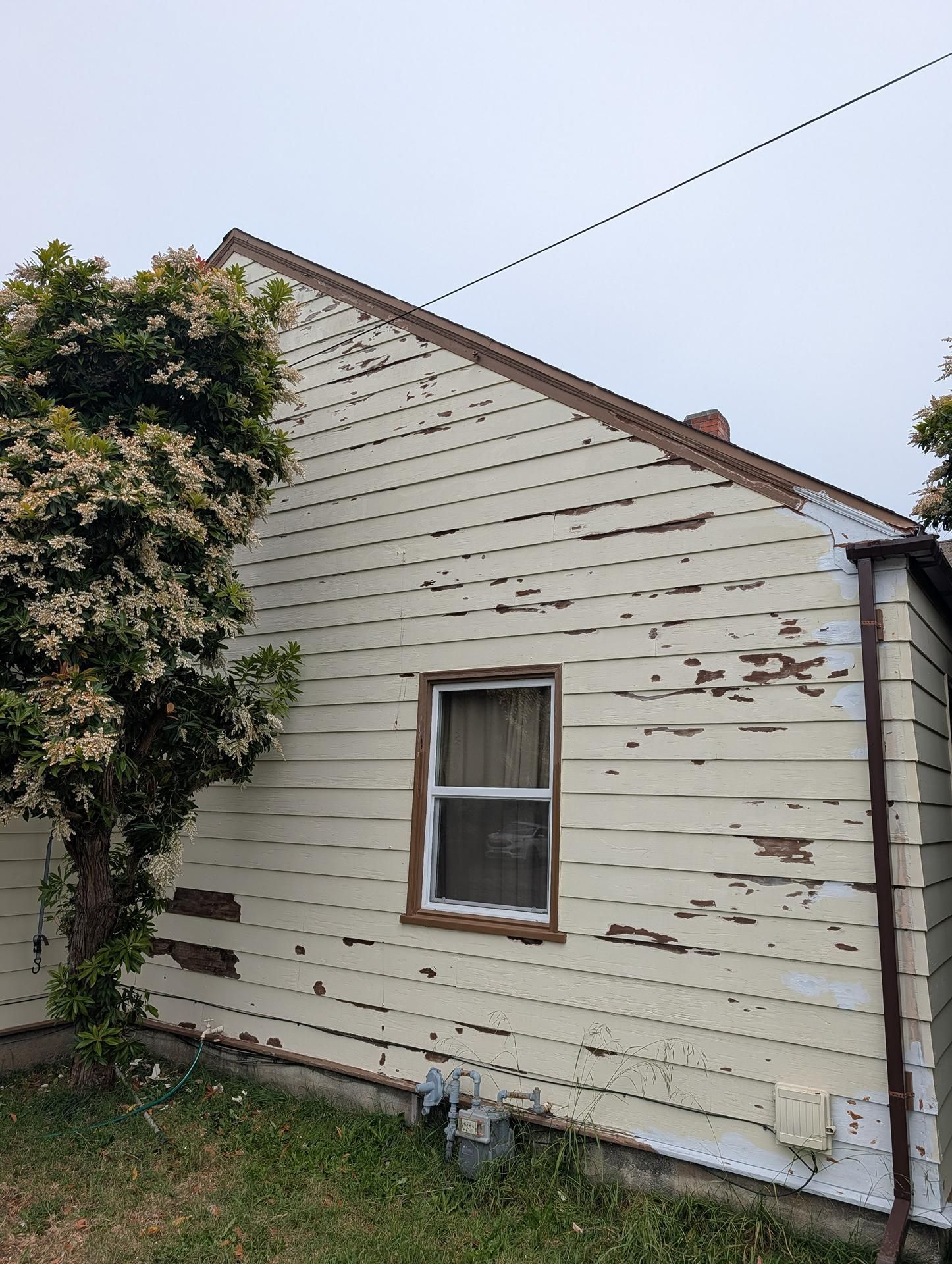 Side of a beige house with peeling paint, a window, and a tree at the left edge.