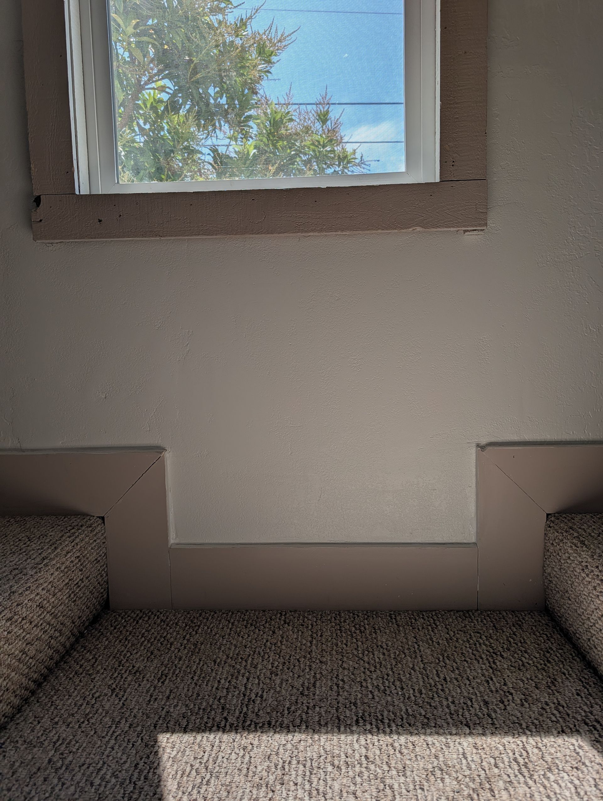Indoor seating area with carpeted benches beneath a window and bright daylight outside