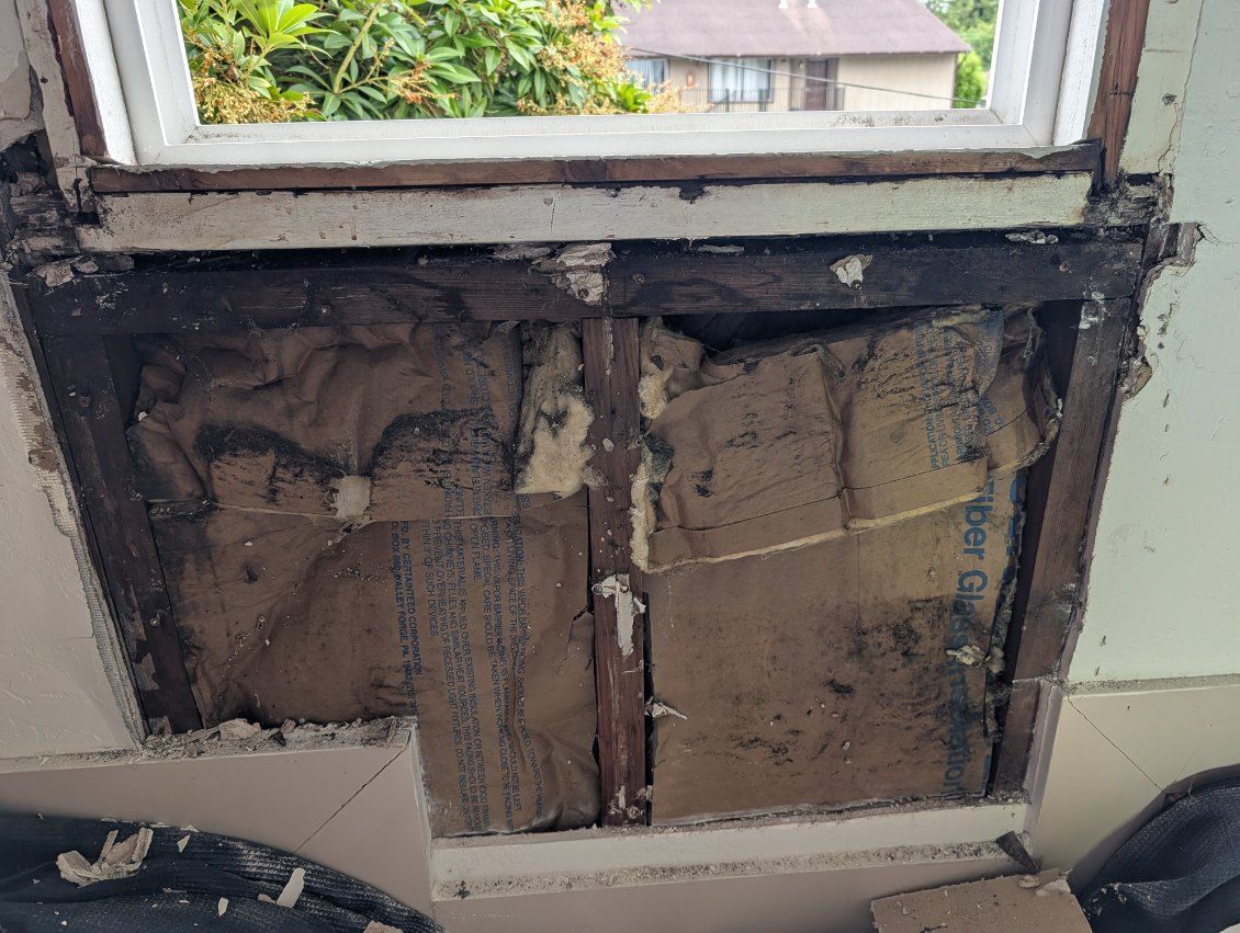 Damaged wall beneath a window with exposed insulation and broken plaster