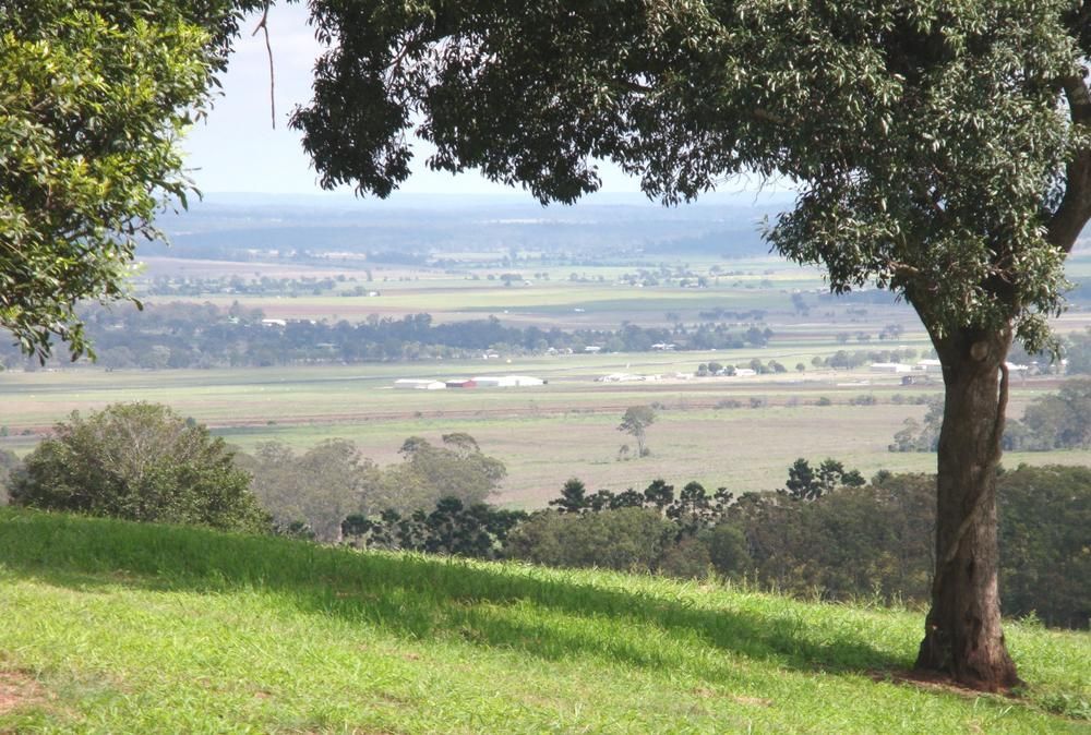 A Tree On A Hill Overlooking A Lush Green Field — Ries Trucking in Kingaroy, QLD