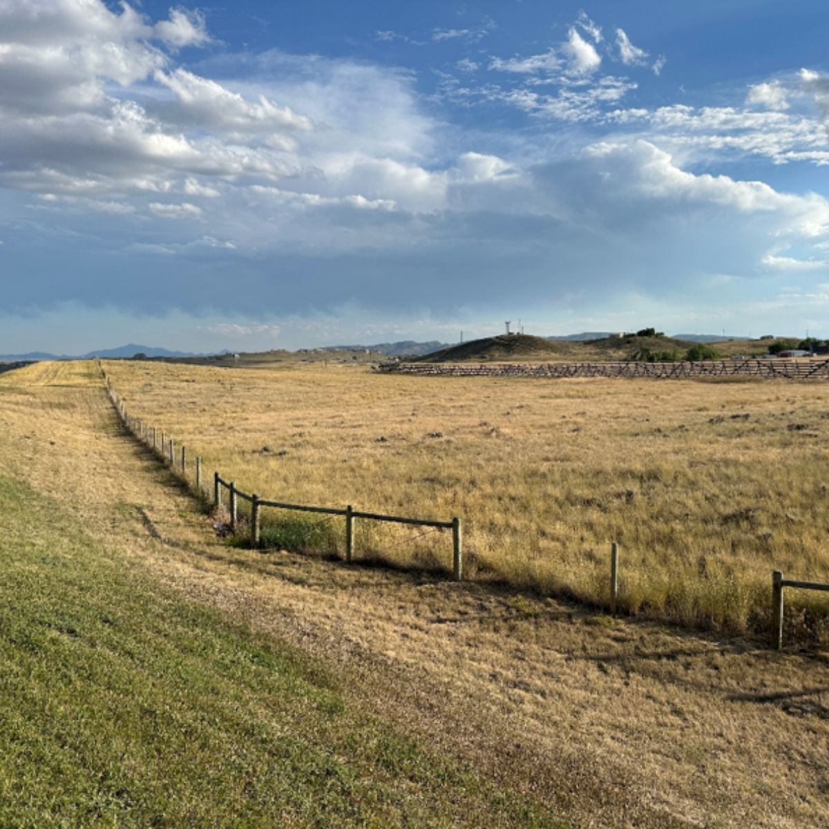 Golden grassy field under a cloudy blue sky, with a wire fence and distant low hills.