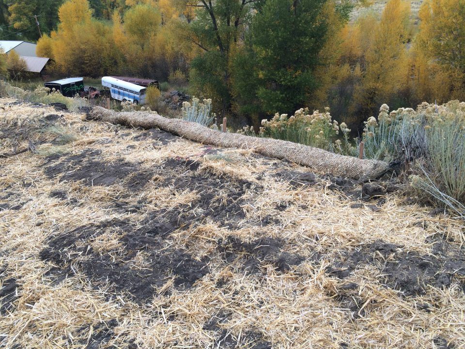 Dry grassy hillside overlooking a valley with autumn trees and a few parked vehicles below