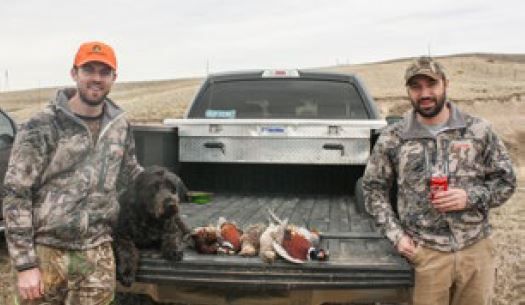 Two hunters posing by pickup truck tailgate with hunted ducks laid out in the open bed